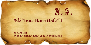 Méhes Hannibál névjegykártya